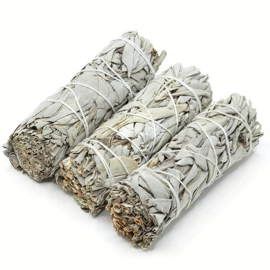 Three White Sage Bundles